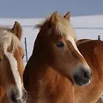 Zimalis * Galtür