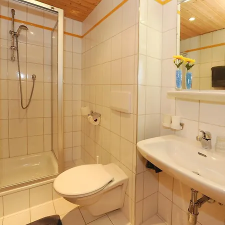Apartment Zimalis